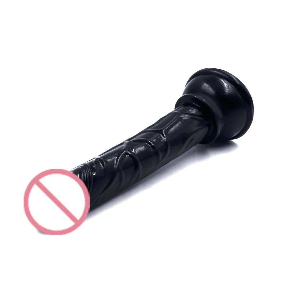 9005053439_1769561285