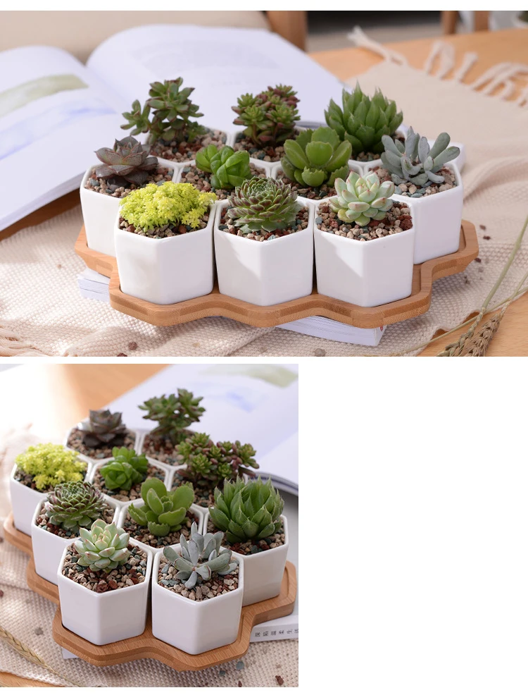 3812669441_675057837