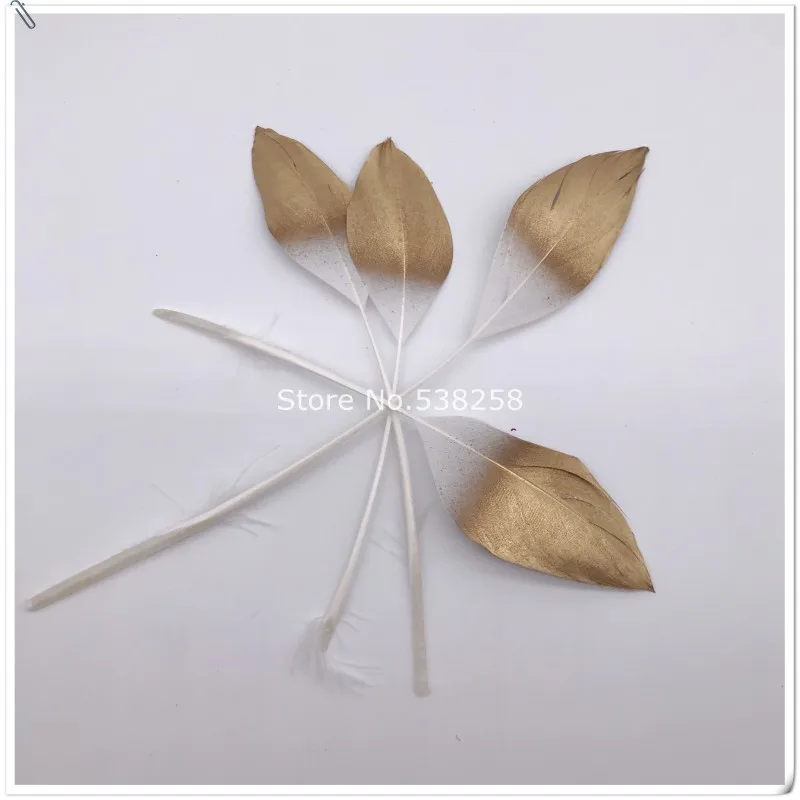 conew_img_7937_conew1