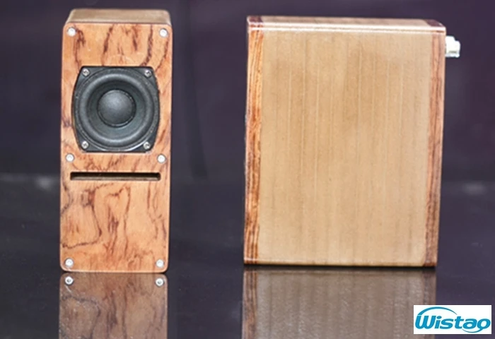 IWISTAO HIFI динамик 2 дюйма полный спектр лабиринт структура деревянный 2X10 Вт 4 Ом 84 дБ