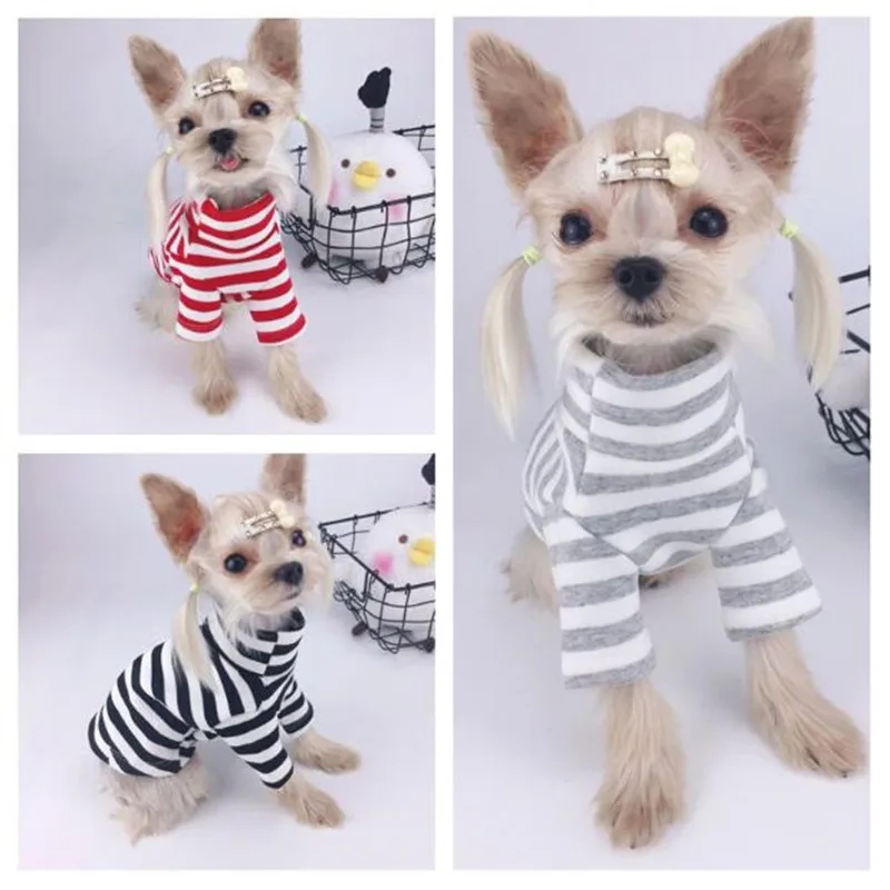 

OnnPnnQ 2019 Warm Striped High Collar Yorkie Dog Hoodie Autumn/winter Cotton Hoody Wear Sweatshirt Costume for Chihuahua XXS-XL
