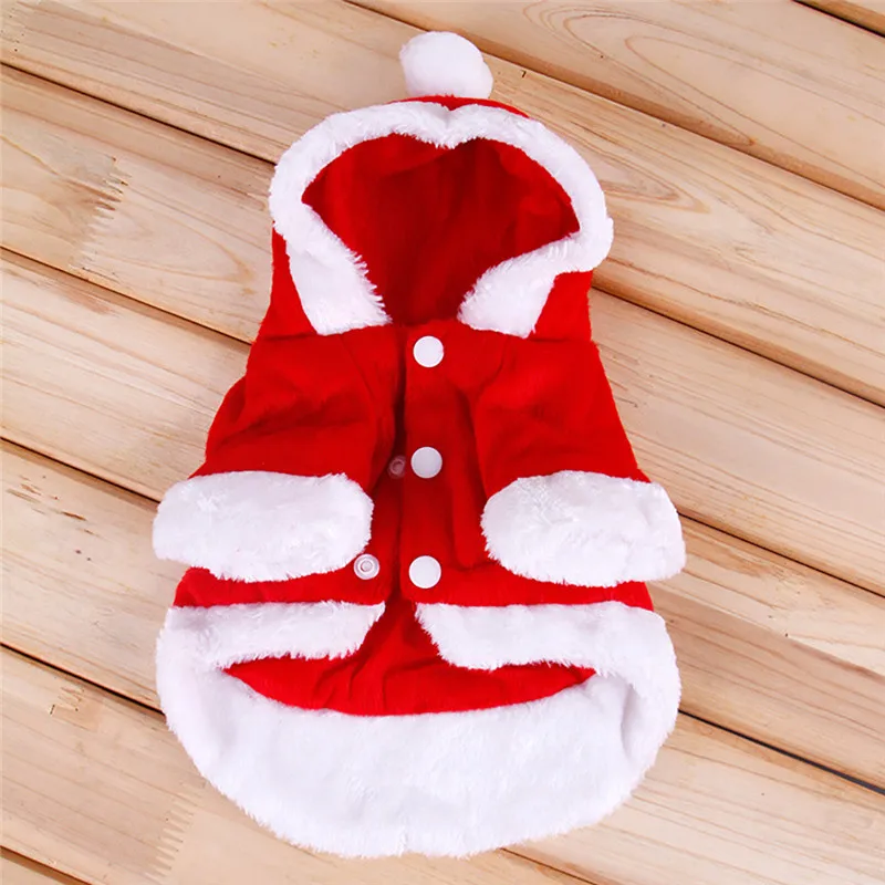 bow pet cloth11