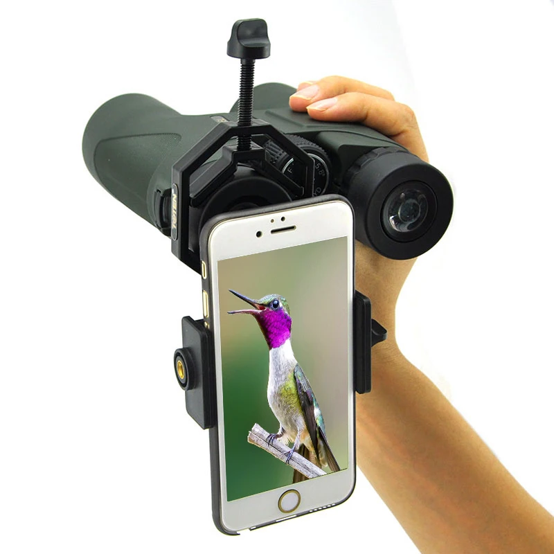 HTB1tCM7c56guuRkSmLyq6AulFXa1