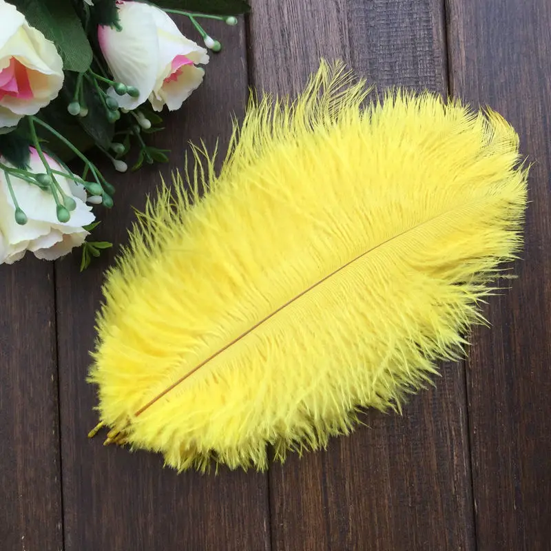Ostrich feather3