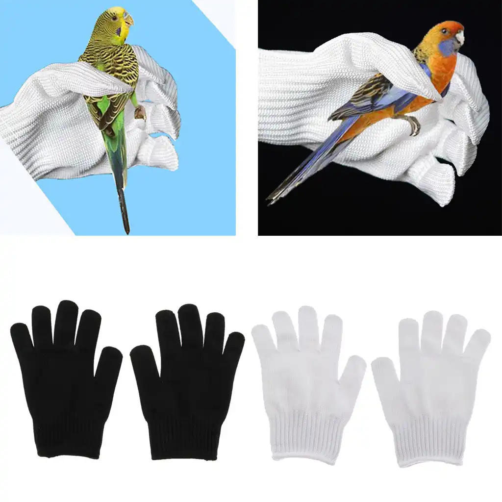 parrot training gloves