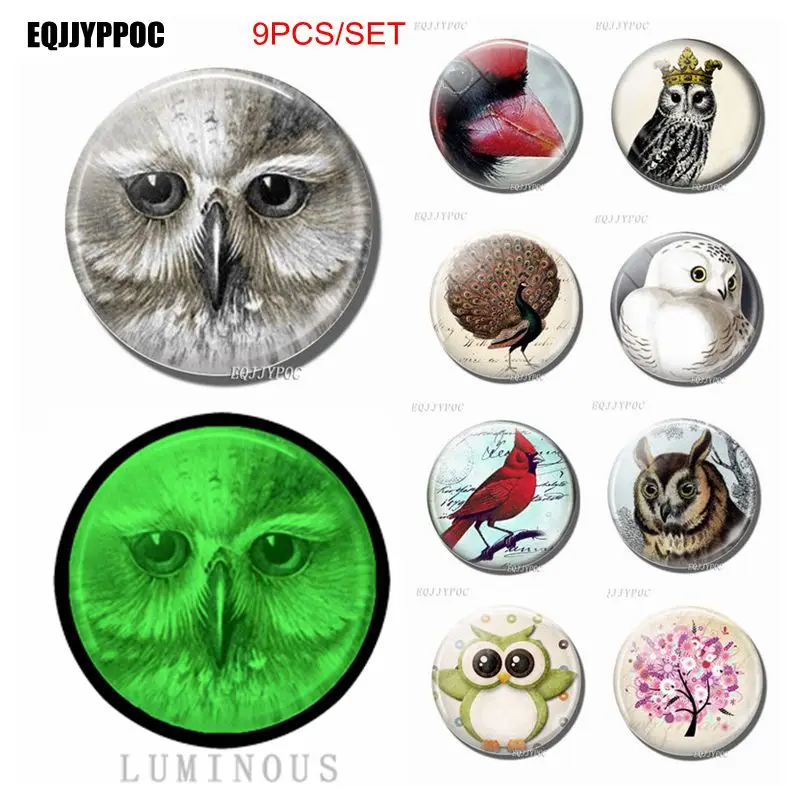 

9 PCS 9 Luminous Glass Fridge Magnet Decor 25 MM Round Cute Cartoon Bird Refrigerator Decoration Animal Owl Magnetic Stickers