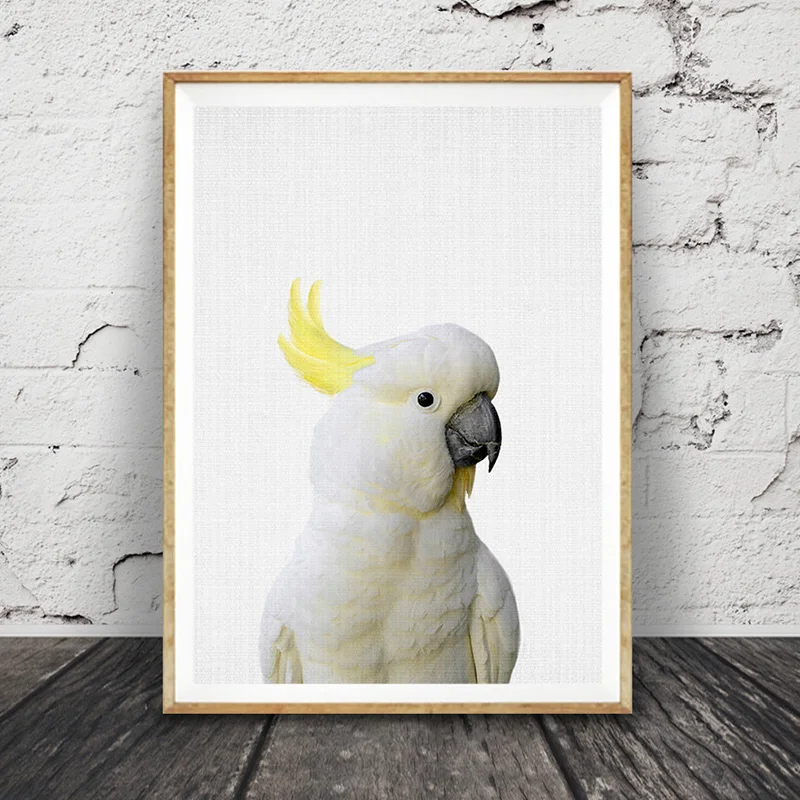 

Cockatoo Print Australian Bird Animal Photo Wall Art Colour Photography Large Posters Modern Minimalist Picture Kids Room Decor