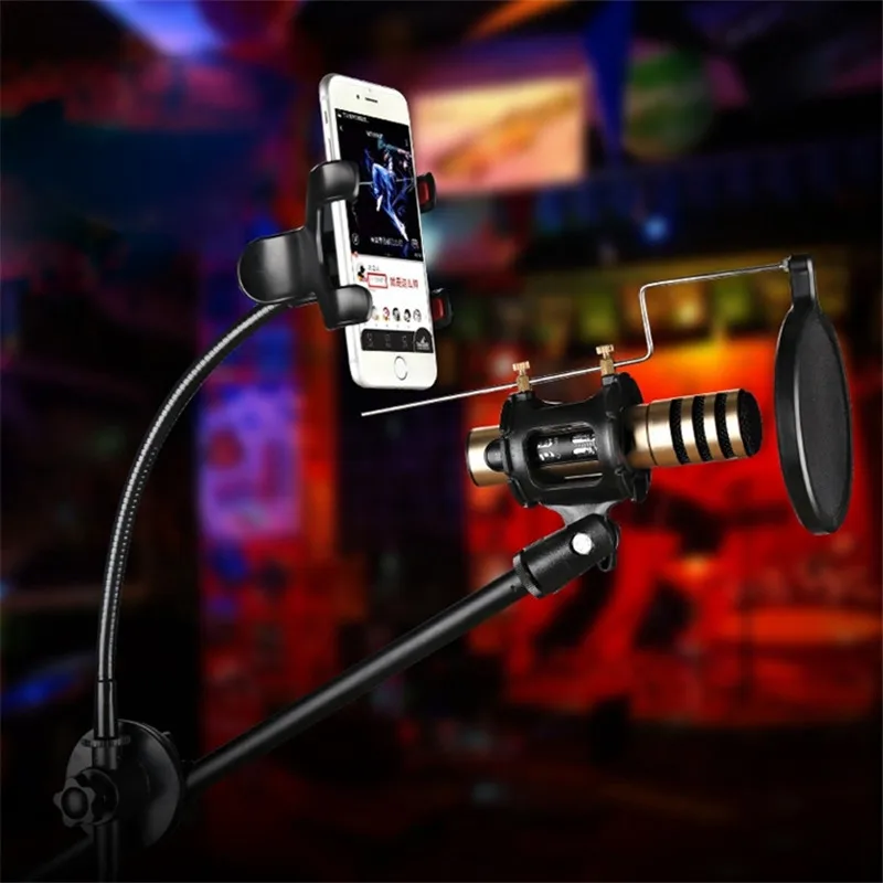 

HAWEEL Karaoke Phone Microphone Tripod Scissor Arm Stand Holder, For Studio Recording, Live Broadcast, Live Show, KTV, etc