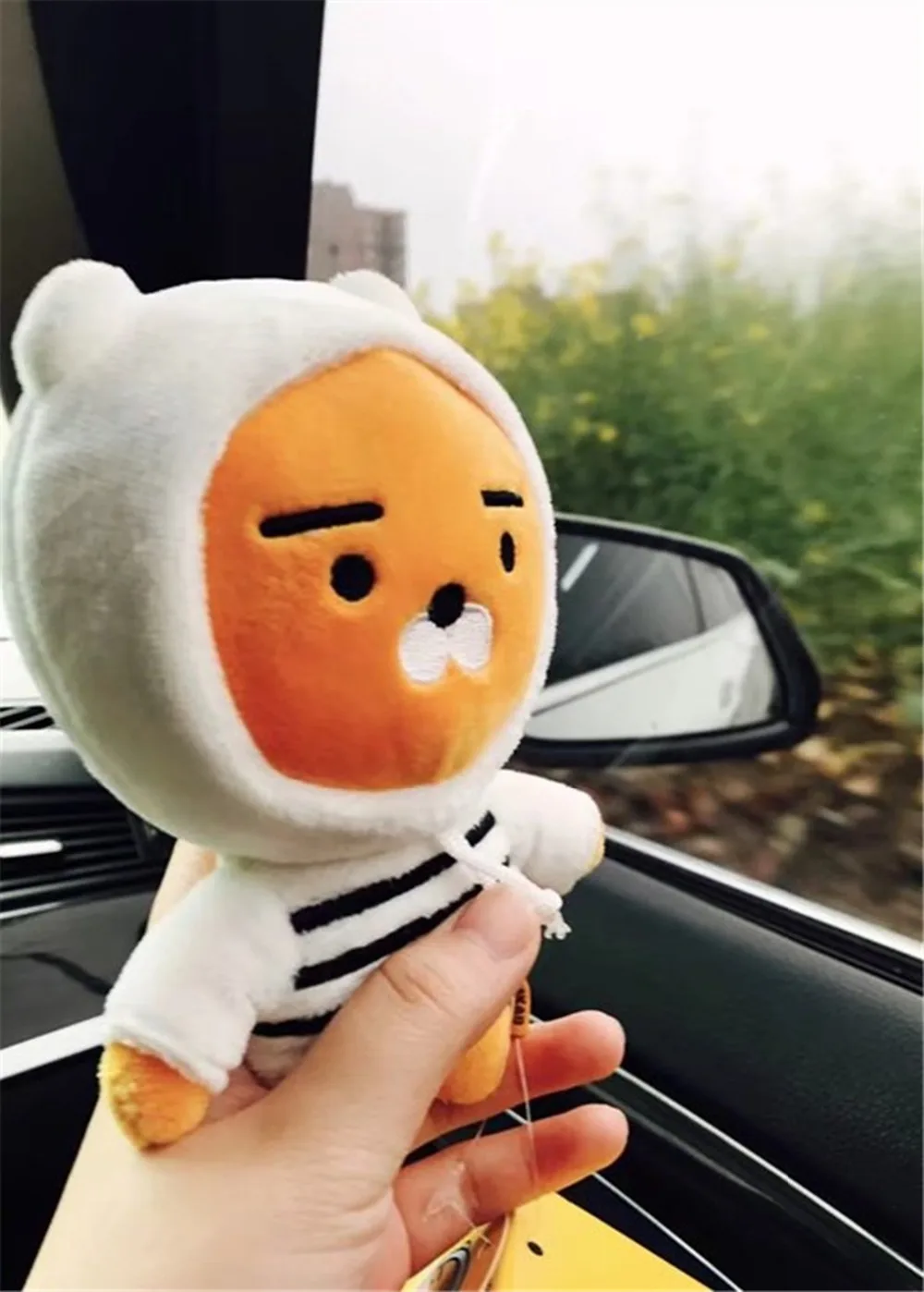 4369187148_678281583