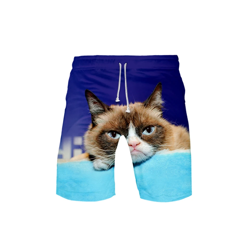 Internet star Grumpy Cat New  3D Style summer men fashion Leisure trend shorts 2019 Kpop popular  casual summer shorts