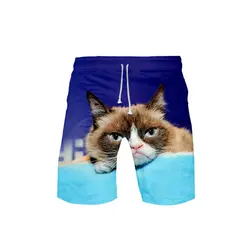 Интернет звезда сердитый кот Новый 3D стиль Летняя мужская мода досуг тренд шорты 2019 Kpop популярные повседневные летние шорты