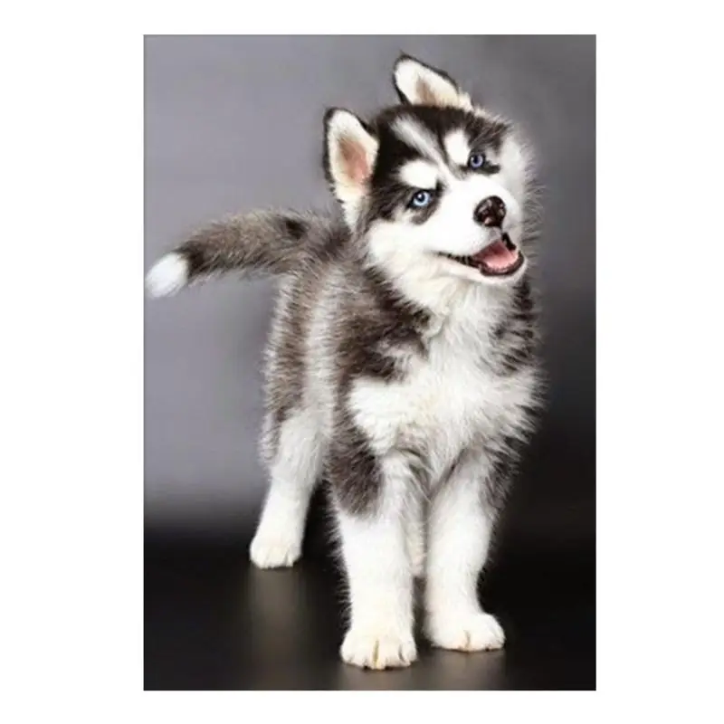 5D Diamond Embroidery Painting Dog Cross Stitch Kit Craft Home Decor