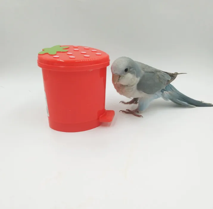 

Fun pet toys for bird training toys parrot trash can ashbin model toys