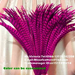 

Wholesale perfect 50pcs Hot Pink 70-80cm long Pheasant Feathers, Natural Reeves Venery Pheasant Tail Feathers, Decorative diy