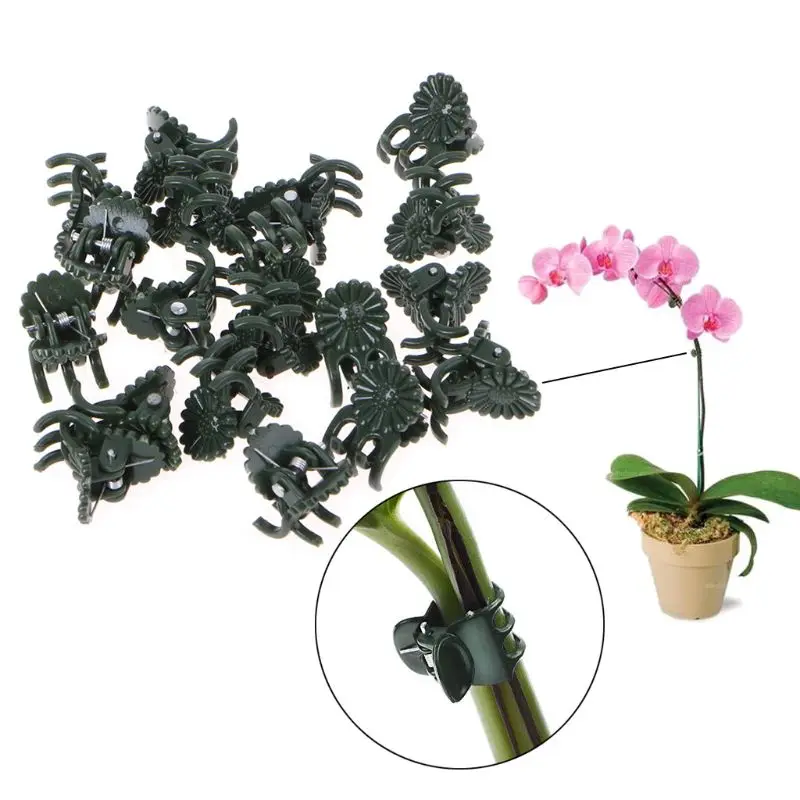 

20 Pcs Plastic Plant Fix Clips Orchid Stem Vine Support Vegetables Farm Flowers Fruit Tied Bundle Branch Clamping Gardening Tool