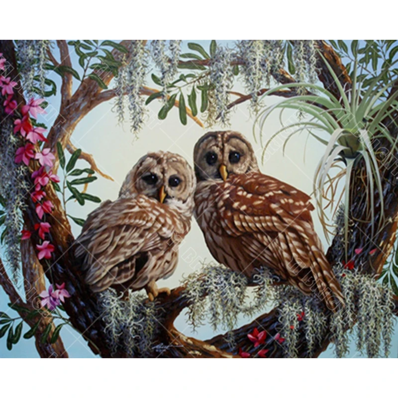 

5D DIY Diamond Painting Owls Needlework Full Square Resin Diamond Painting Embroidery Mosaic Cross Stitch Handicraft Gift YDD