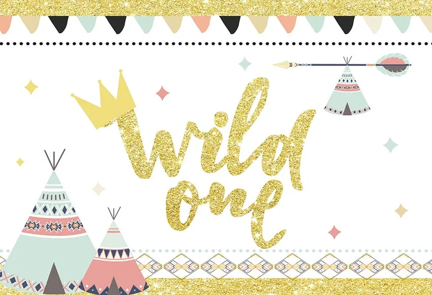Mehofond и надписью Wild One фон для фотосъемки на день рождения Детские вечерние баннер