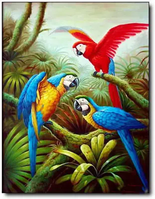 Beautiful Modern Animal Art Decorative Painting Parrot Oil