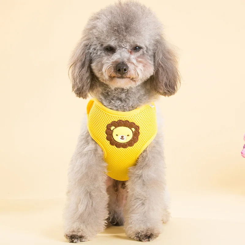 

Fashion Dog Harness and Leash Set Teddy Dog Harness Vest Pet Walking Harnesses Leash Set Puppy Cartoon Collar for Small Dogs Cat