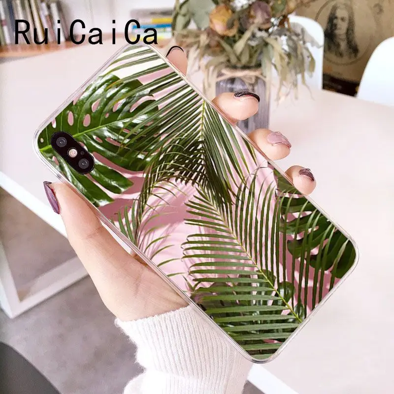 Palm tree Leaves Plant Flower