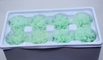 

Mother's Day diy gifts preserved flowers 8pcs/box flowers wholesale immortal Carnations eternal life flowers material 4-5cm