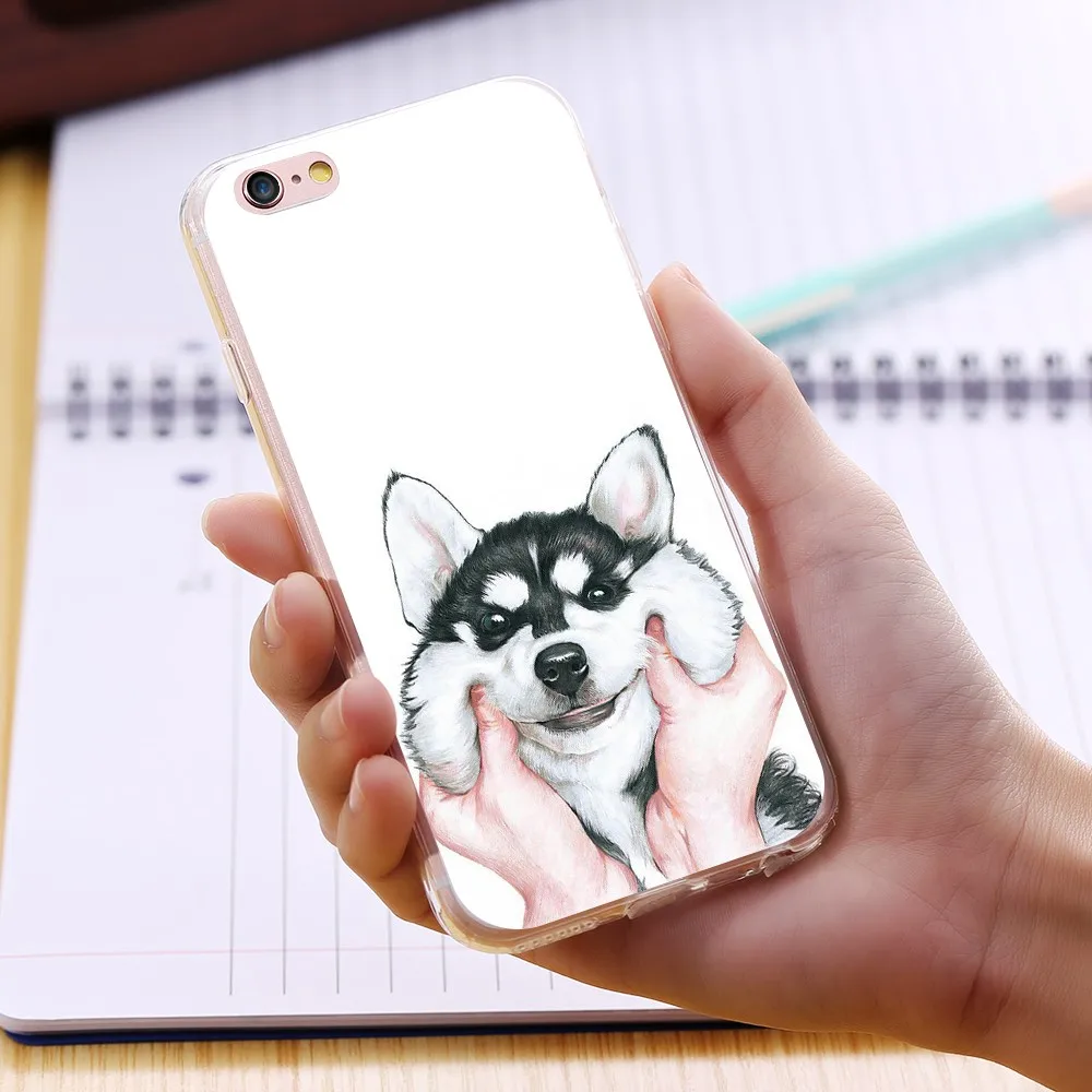 dog case (9)