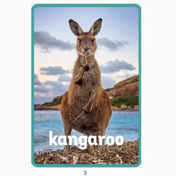 

English Wild Animals Insect Farm Animals Marine Sea Animals Flash Word Card Classroom Decoration Poster Card HD A4 Plastic Seal