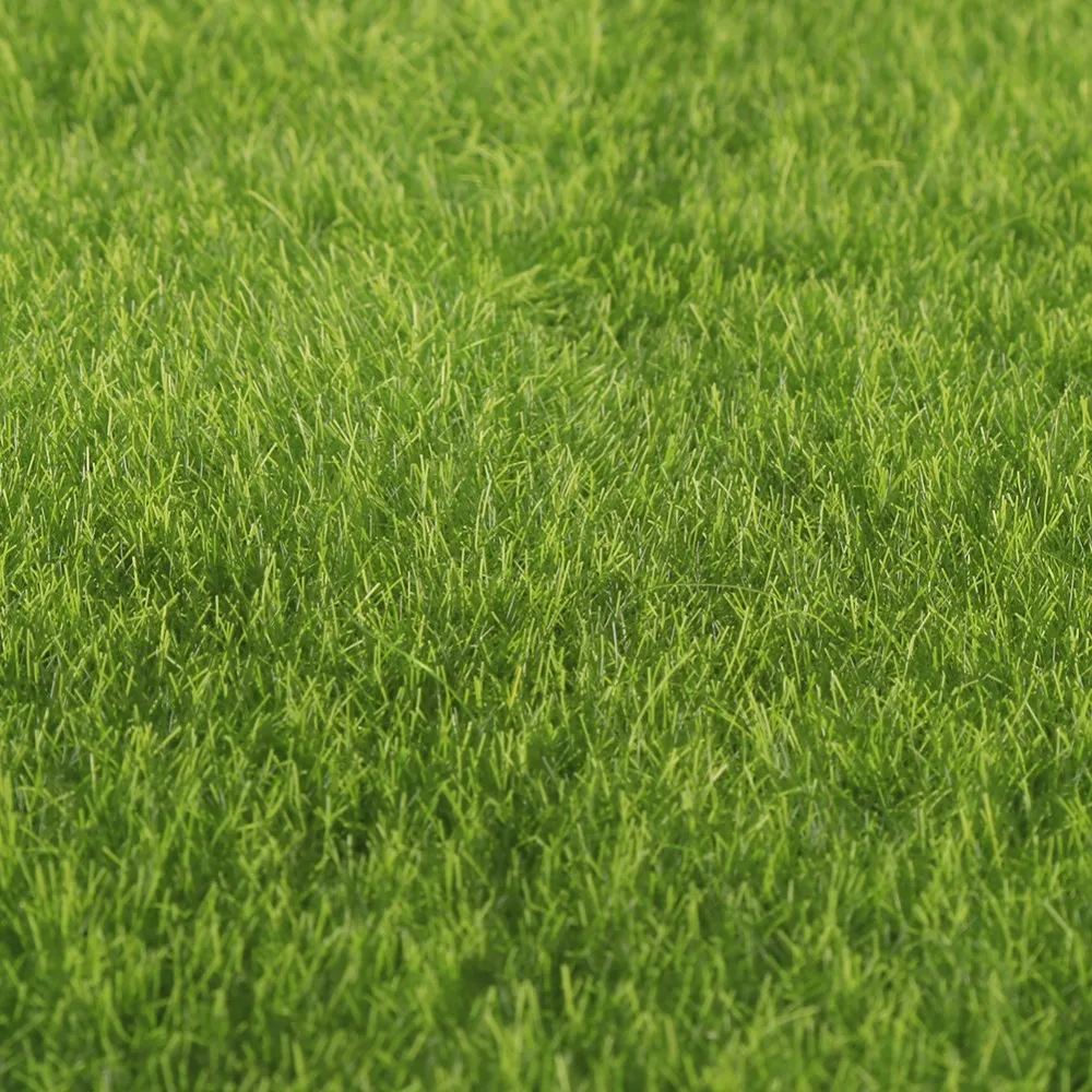 QT00101-4