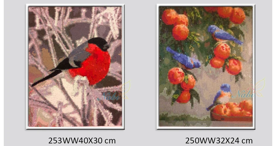 -245WW_03
