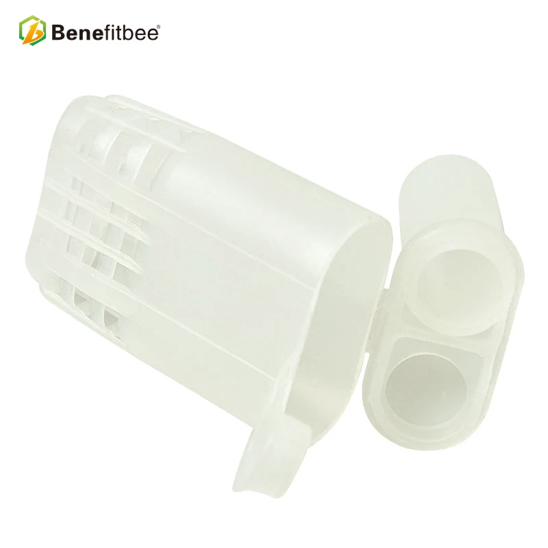 L01-800X800
