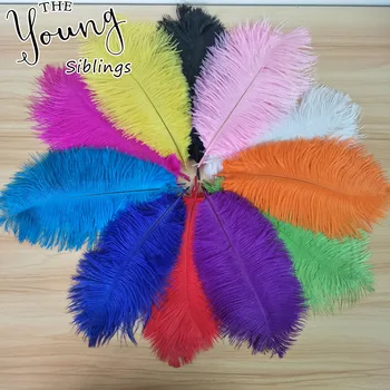 

25-30CM (10-12") ostrich feathers optional colored feathers Carnival Costumes Party Home decorative feathers for DIY