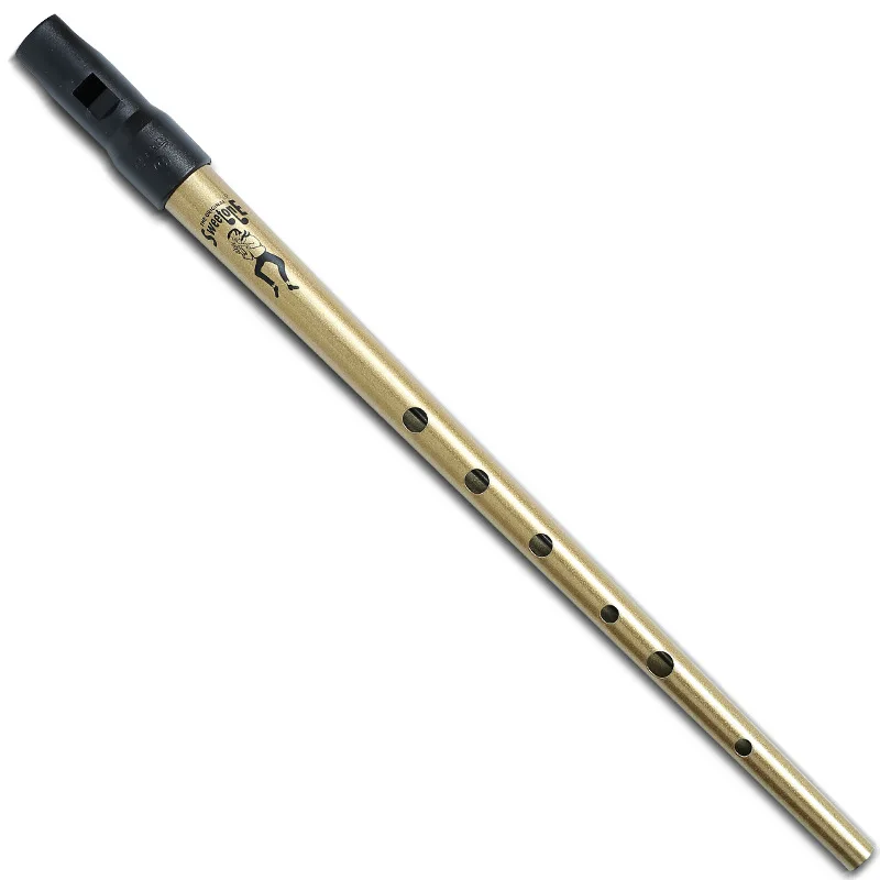 كلارك Tinwhistle الأيرلندية صافرة الناي أيرلندا الناي المعادن الناي Flauta الرياح آلة موسيقية 2 ألوان C D مفتاح