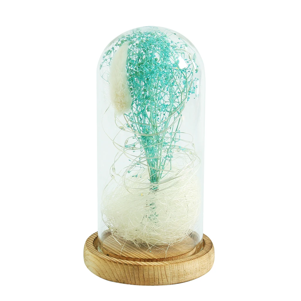 Clear Glass Beauty Display Jar Bell Flower Preservation ...