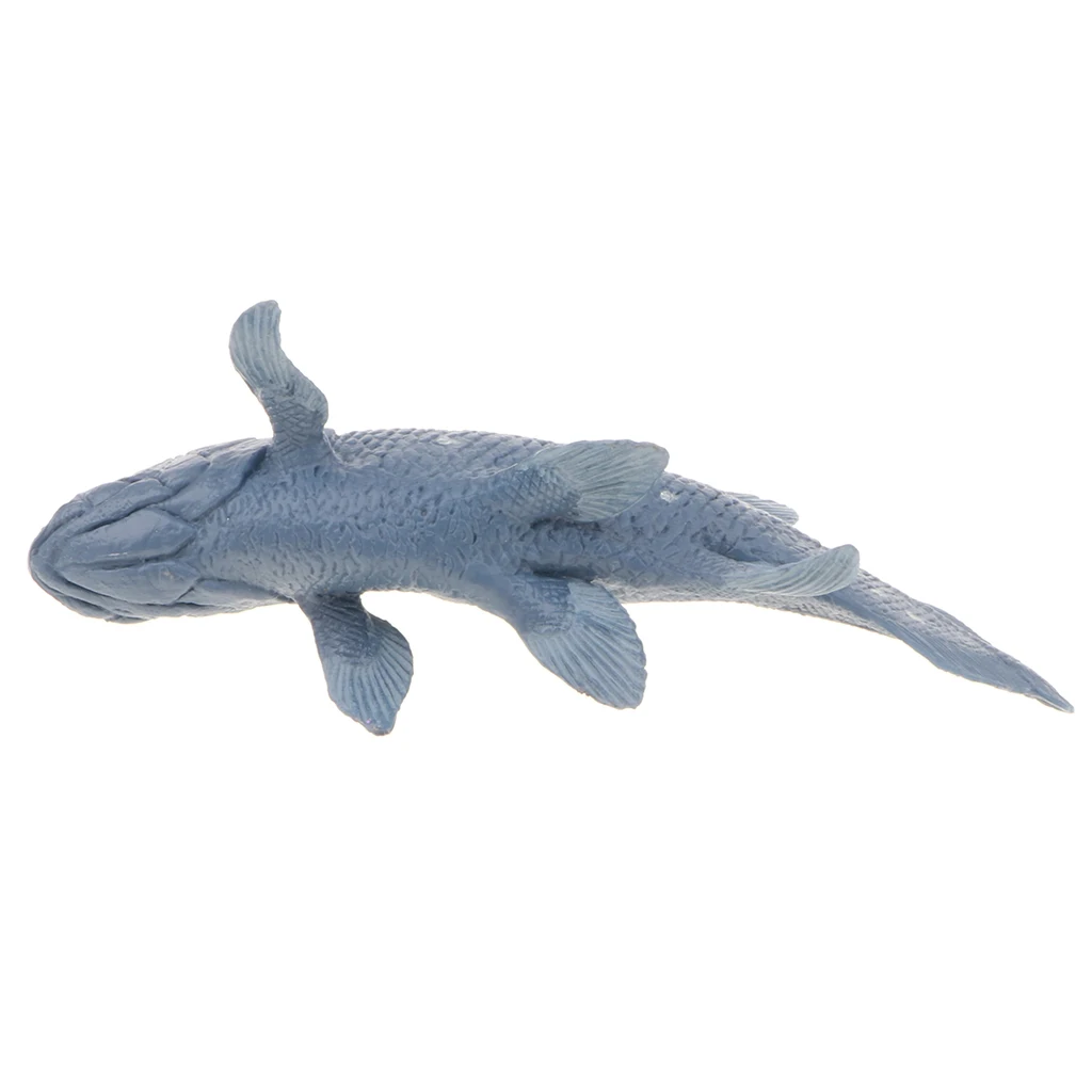 Realistic Marine Fish Model Figurines, 5 Inch Coelacanth Action Figure Toy for Kids, Science Educational Toy	