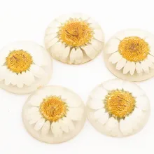 Новая мода 5 шт 25 мм Натуральные сушеные цветы с плоской задней стороной Кабошоны Камея G3-17