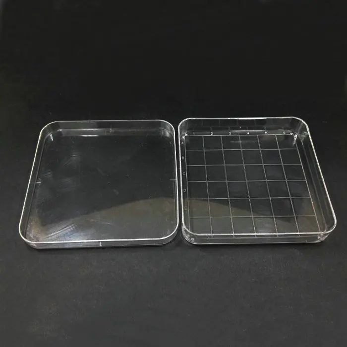 10 шт. квадратная пластиковая чаша Петри с чехлом 10*10 см|plastic petri dish|petri dishpetri dish plastic |