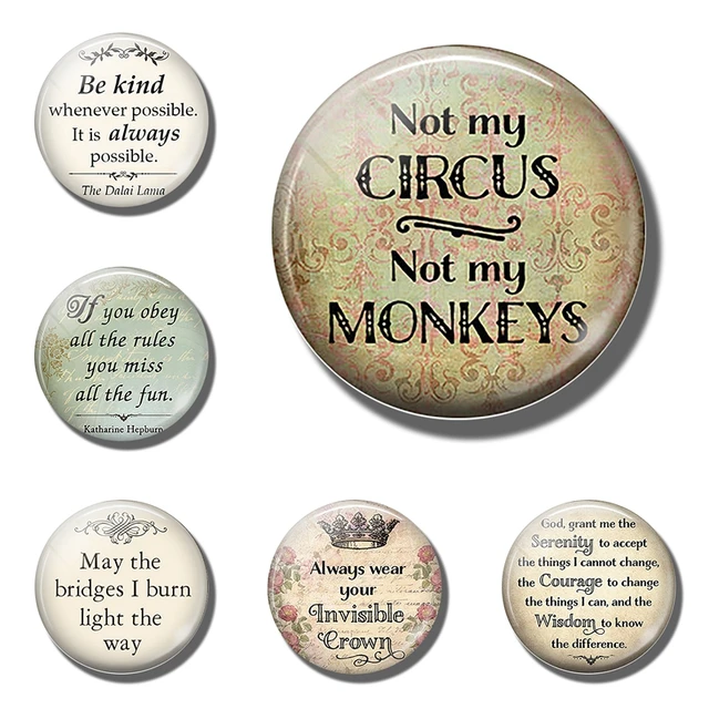 Fridge decor Not My Circus ,Not My Monkeys Funny Quote letter