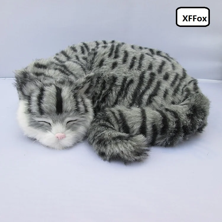 HTB1S_oPKVXXXXafaXXXq6xXFXXXP