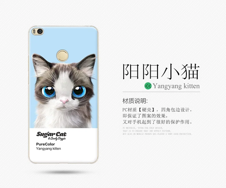 20170717_145137_1171