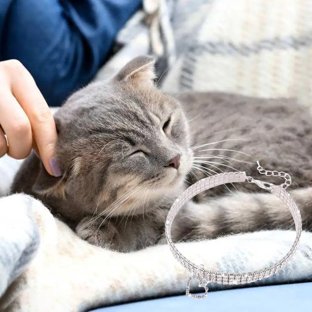 Pet декорированный ошейник для кошки ожерелье милая Мода для маленькой собаки девушка Wakeu горный хрусталь Bling ошейники с костяной подвеской ожерелье для домашних животных