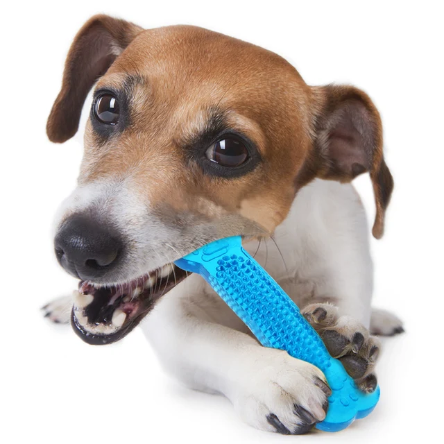 Molar Cleaner 4
