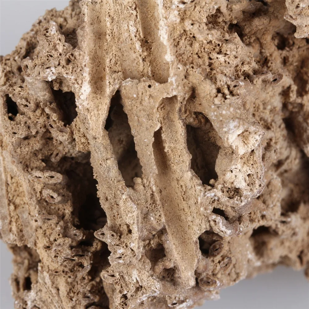 Природный необработанный камень палеонтологическое окаменелое ландшафтное украшение для аквариума бонсай вода трава растения корень рост Адсорбция