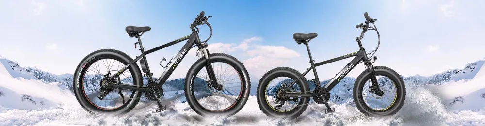 fat electric bike