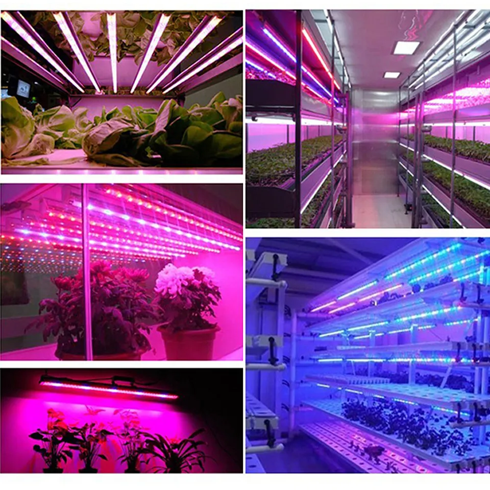 grow strip light 011