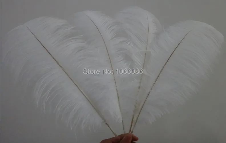 

EMS Free Shipping! 200pcs/lot 45-50 18-20" Top quality White ostrich feathers ostrich plumages plumes