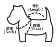 QQ20170615164457