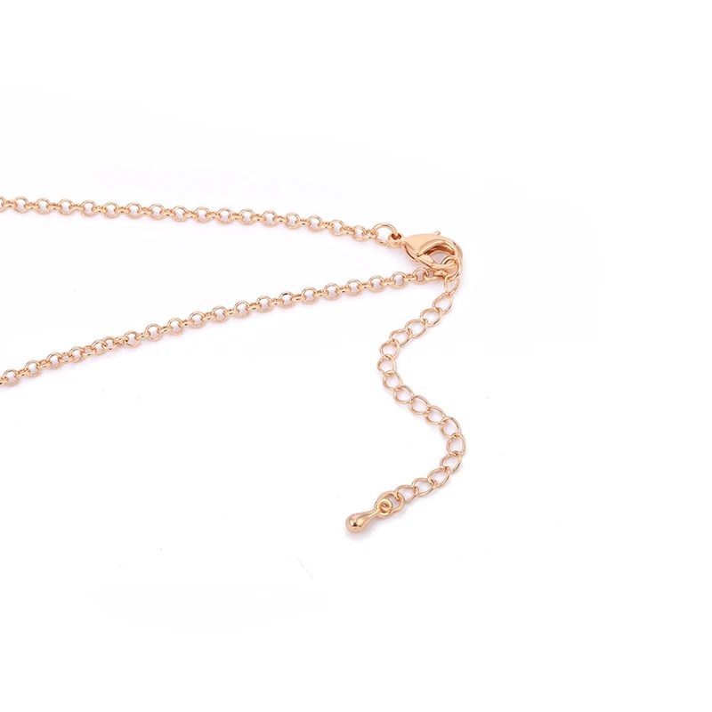 6491322715_120521053