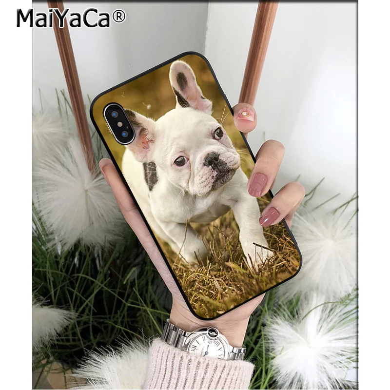 Cute Anime Bulldog