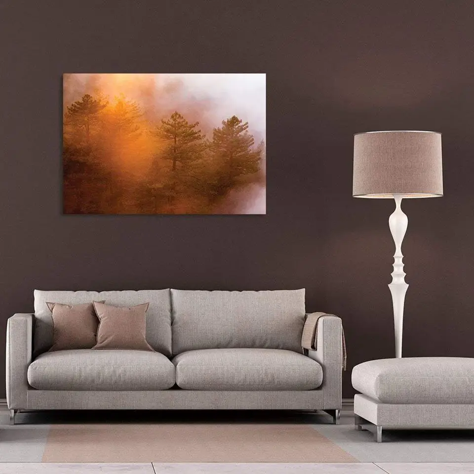 71BsgnWzJgL._SL1000_