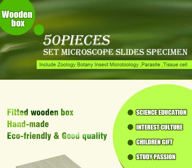 cells Microscope slides (1)